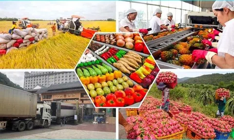 Đồng Nai xuất khẩu nông sản đạt hơn 625 triệu USD